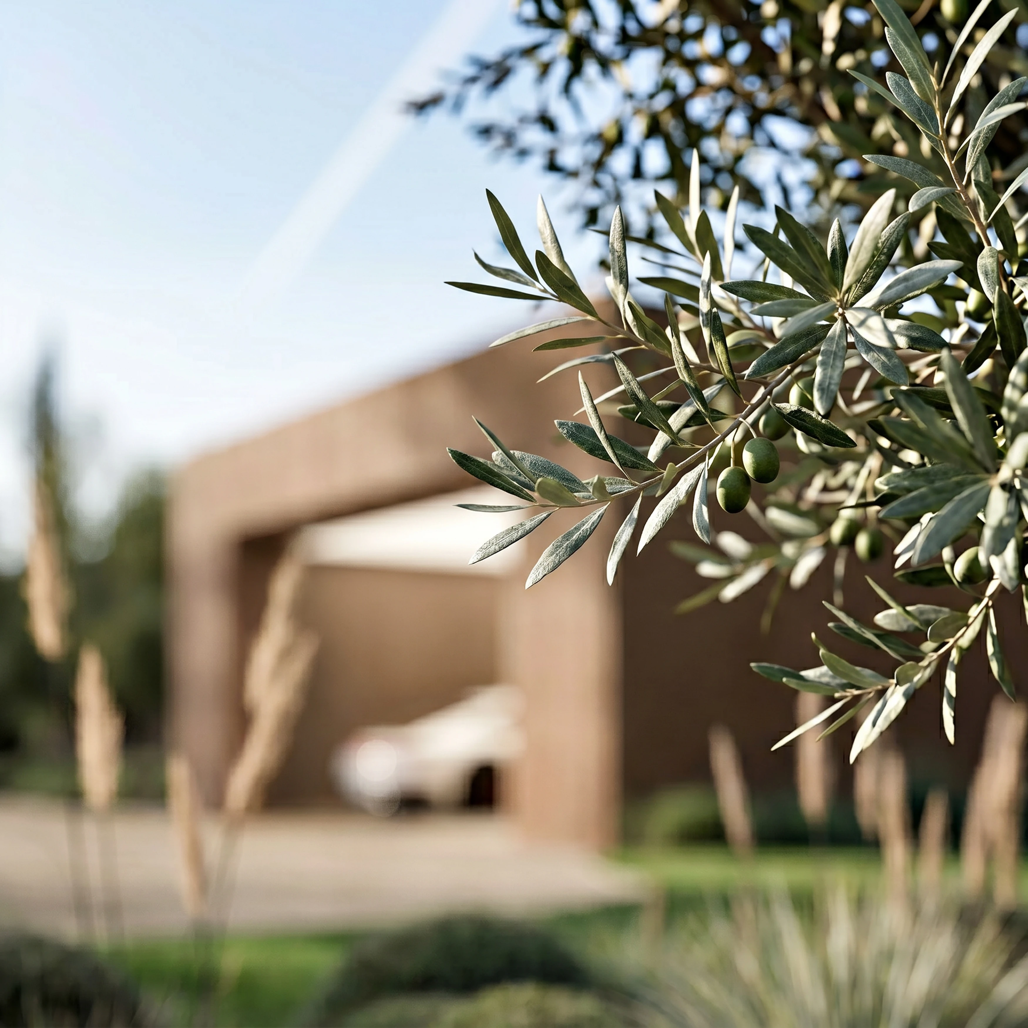 26.004 DDS — Andoni architecture studio
