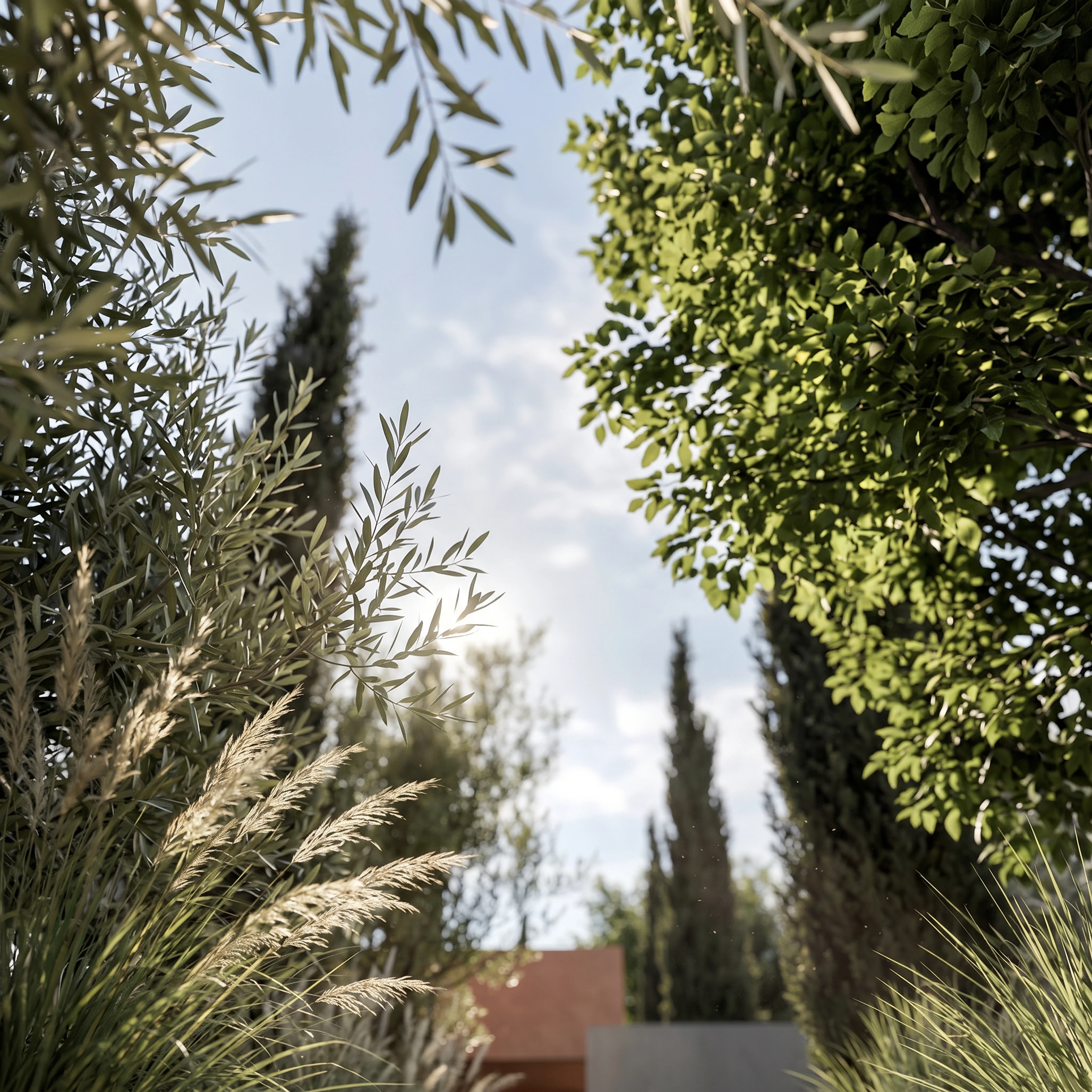 26.004 DDS — Andoni architecture studio