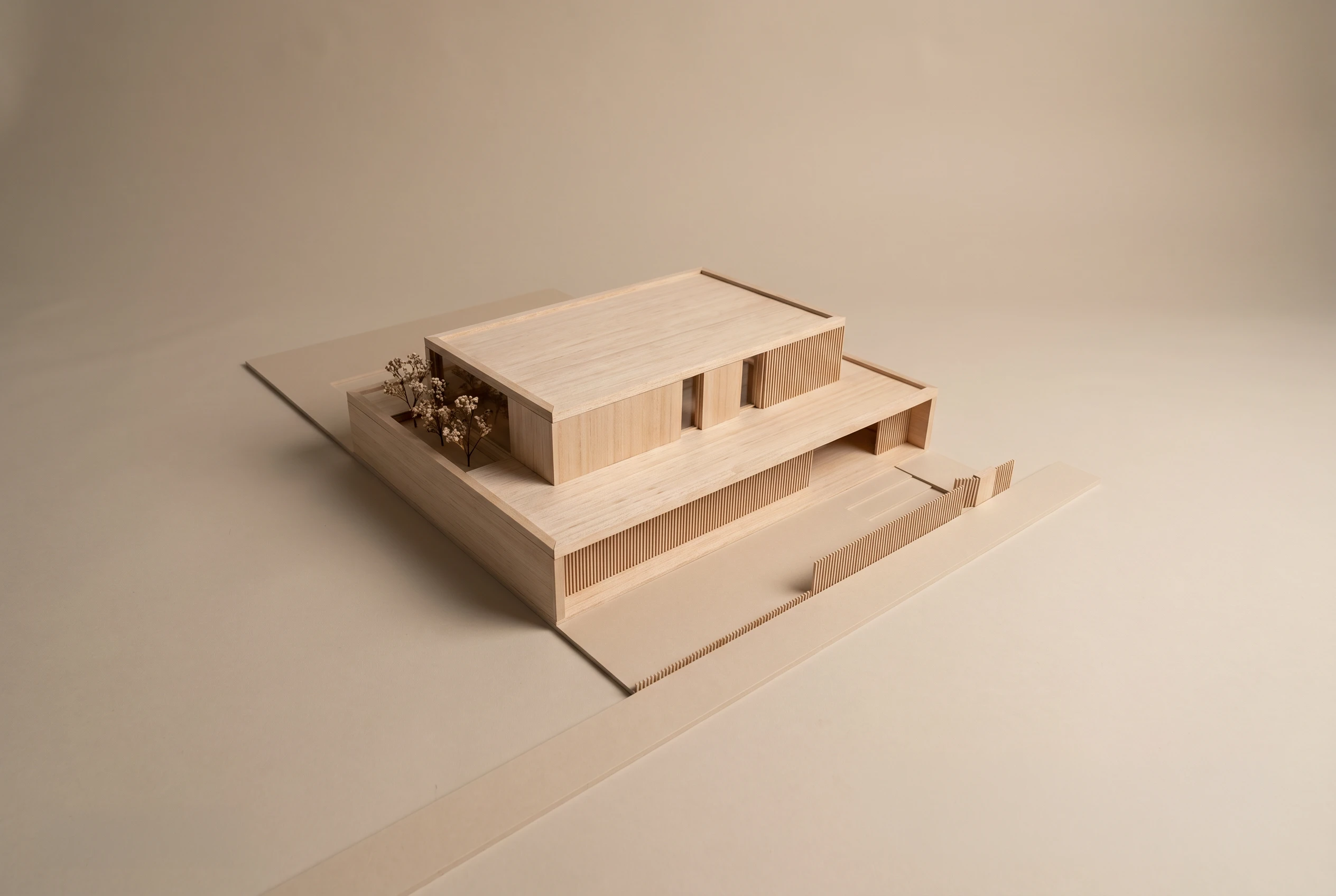 25.007 DVD — Andoni architecture studio