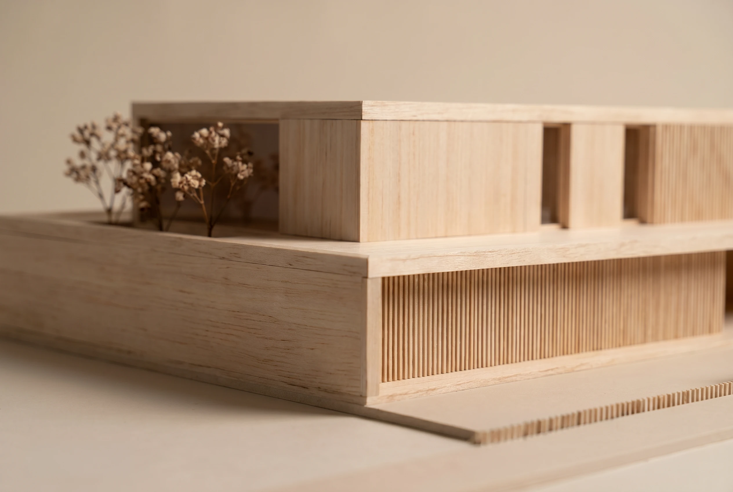 25.007 DVD — Andoni architecture studio