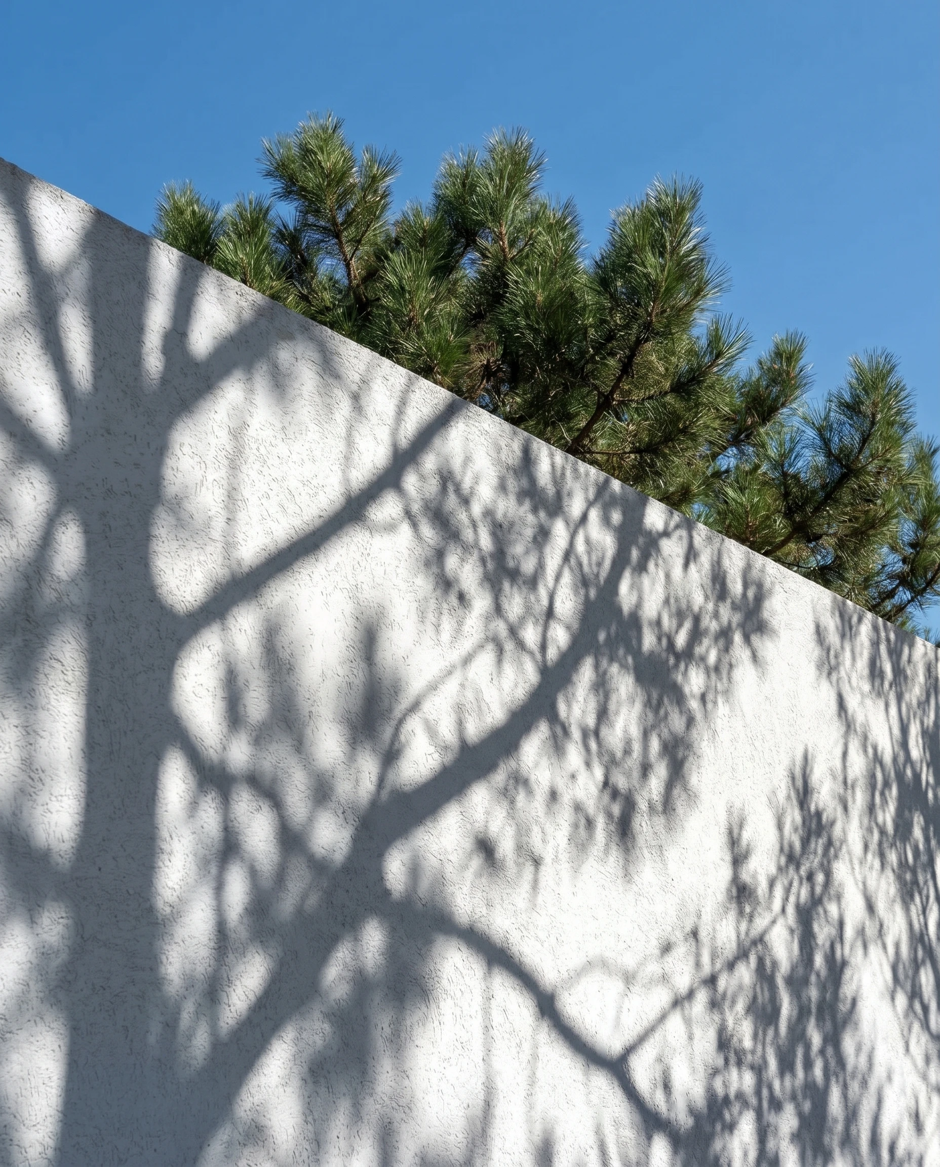 25.012 GJL — Andoni architecture studio