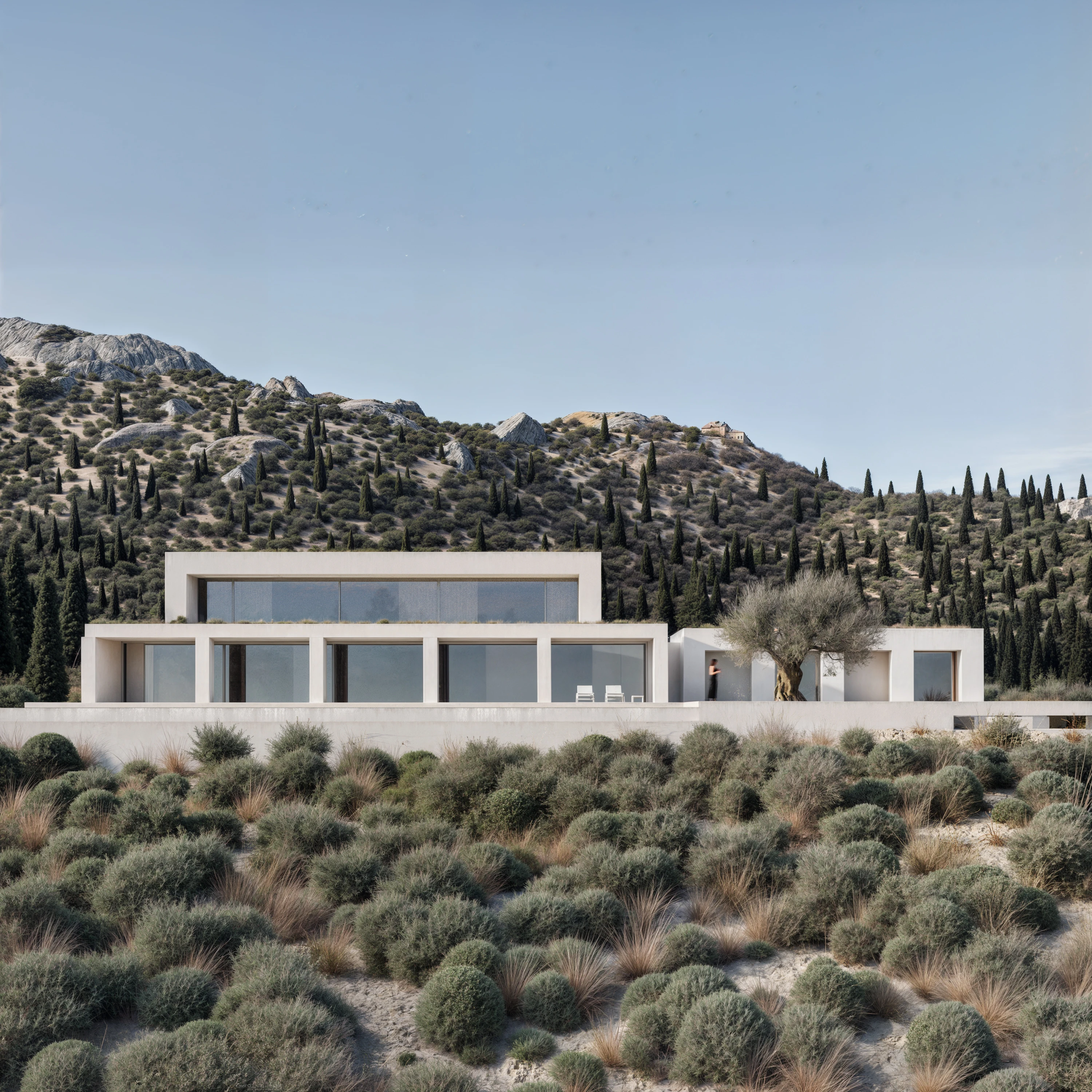 25.010 VSS — Andoni architecture studio