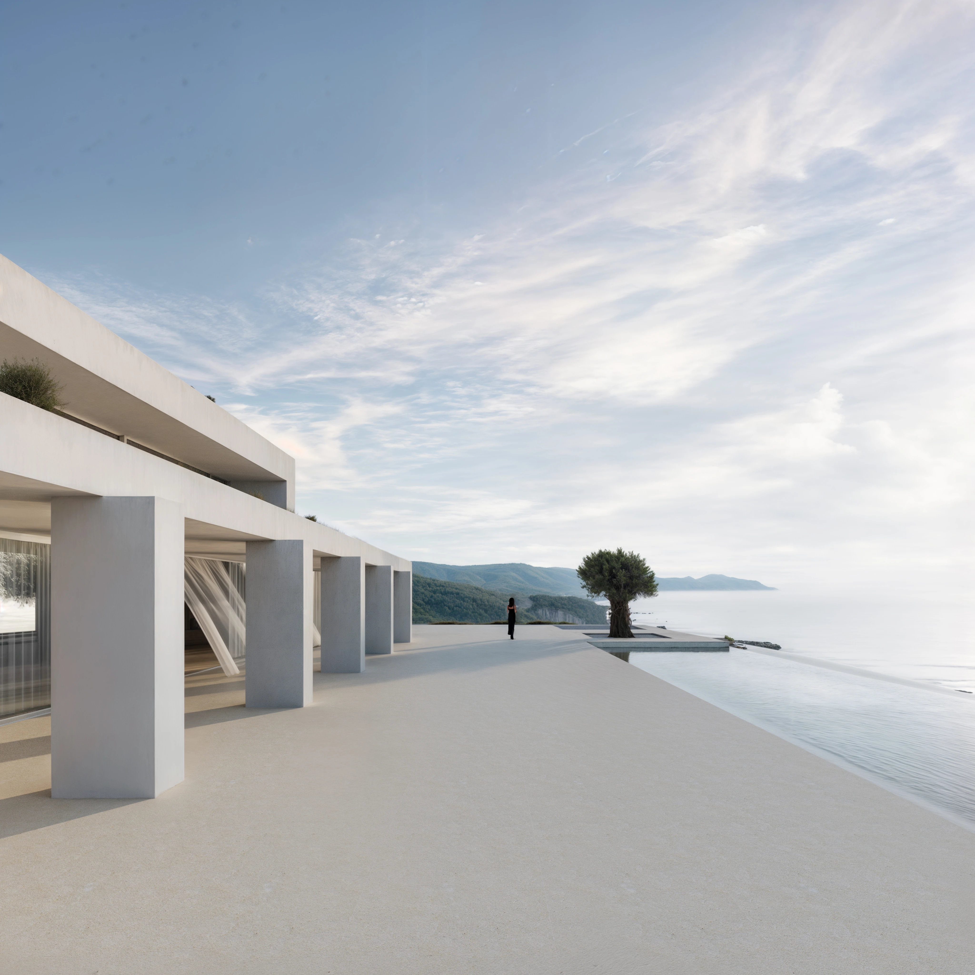 25.010 VSS — Andoni architecture studio