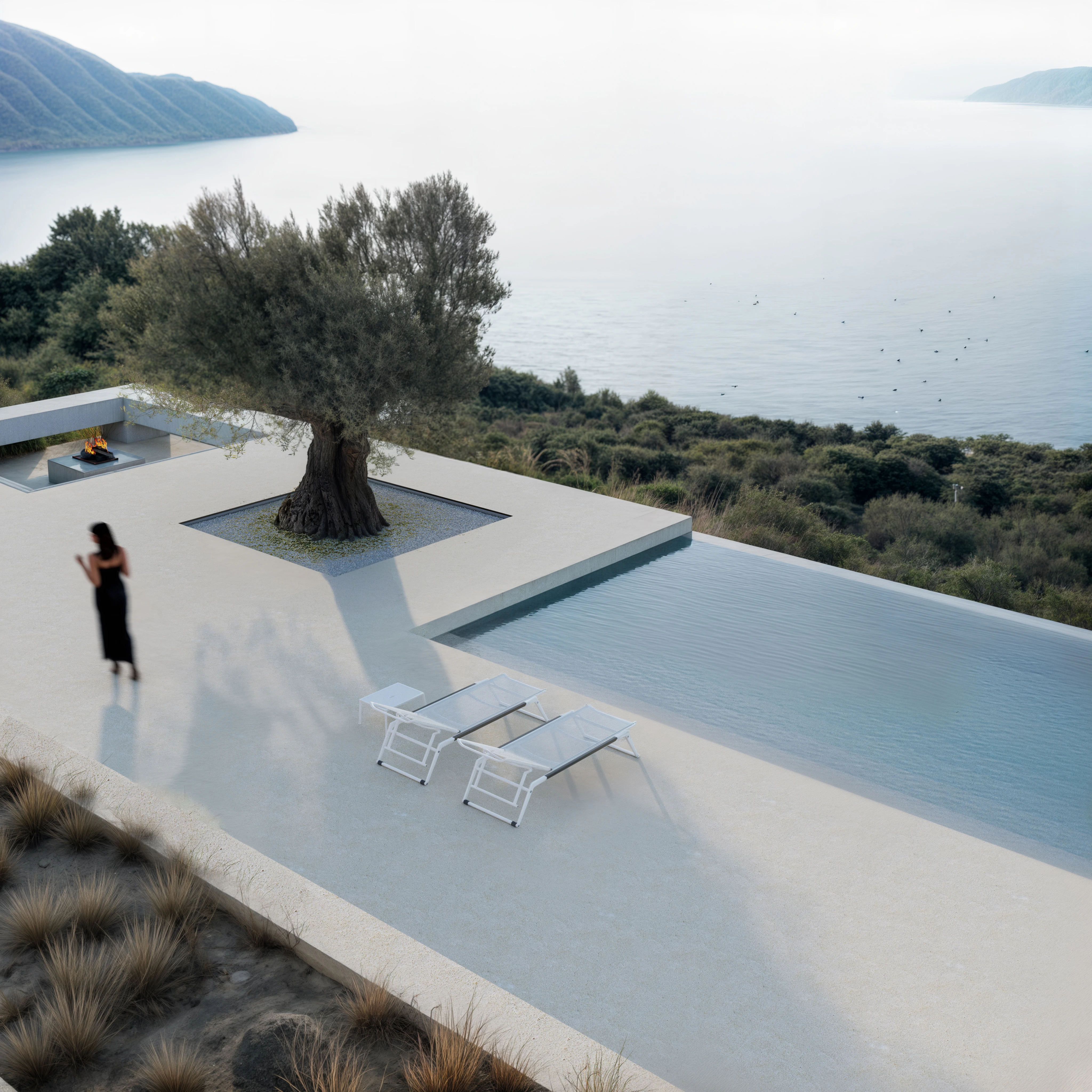 25.010 VSS — Andoni architecture studio