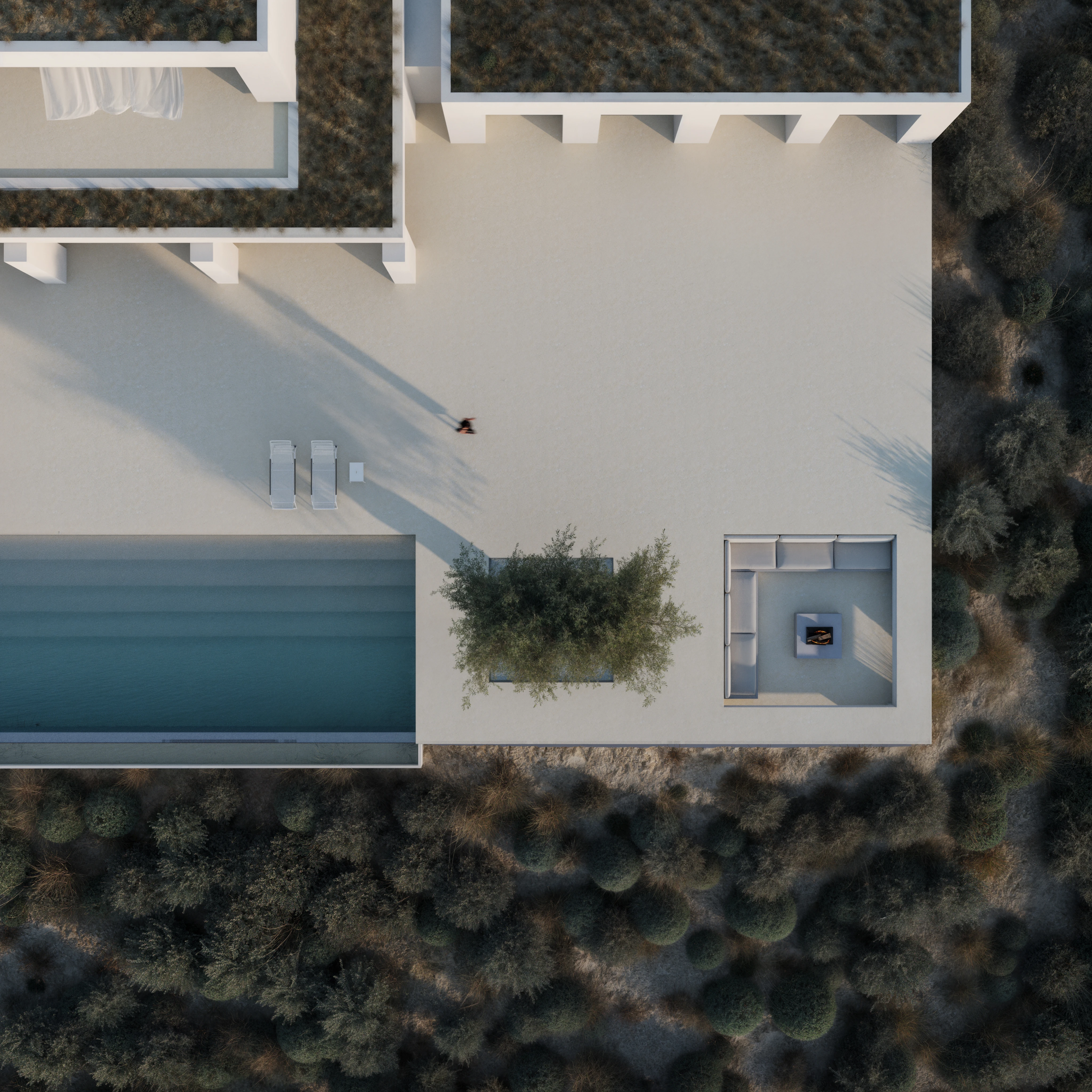 25.010 VSS — Andoni architecture studio